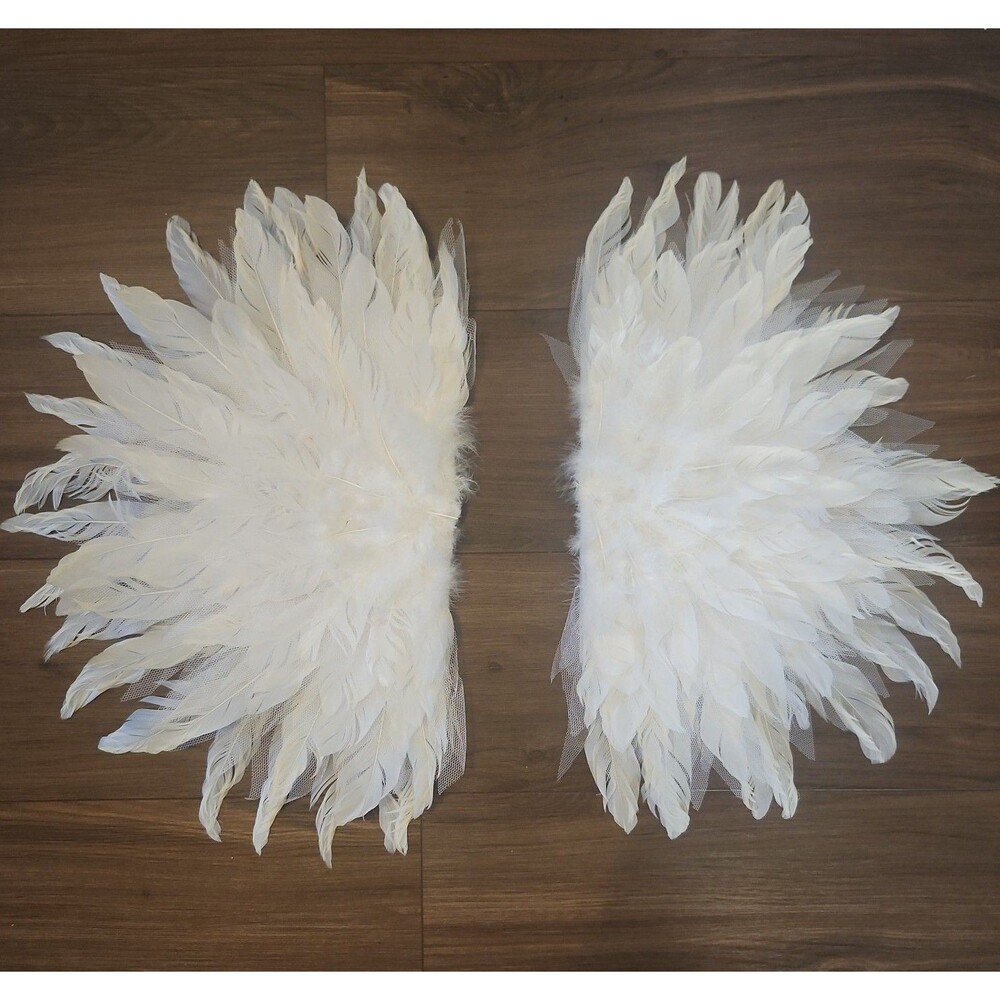 Angel /fairy wings